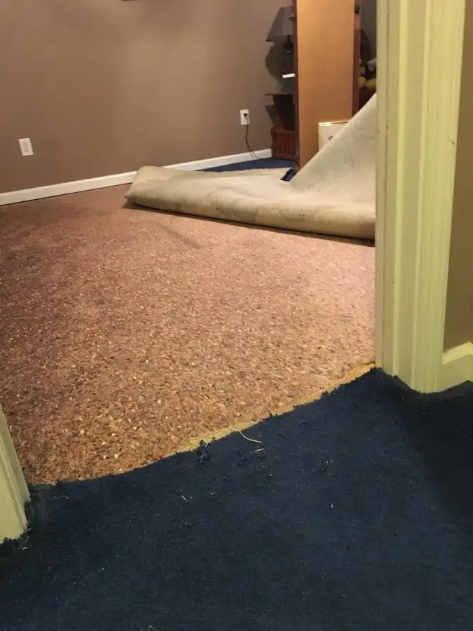 Carpet pad removal revealing water damage during Drying & Dehumidification in Holland