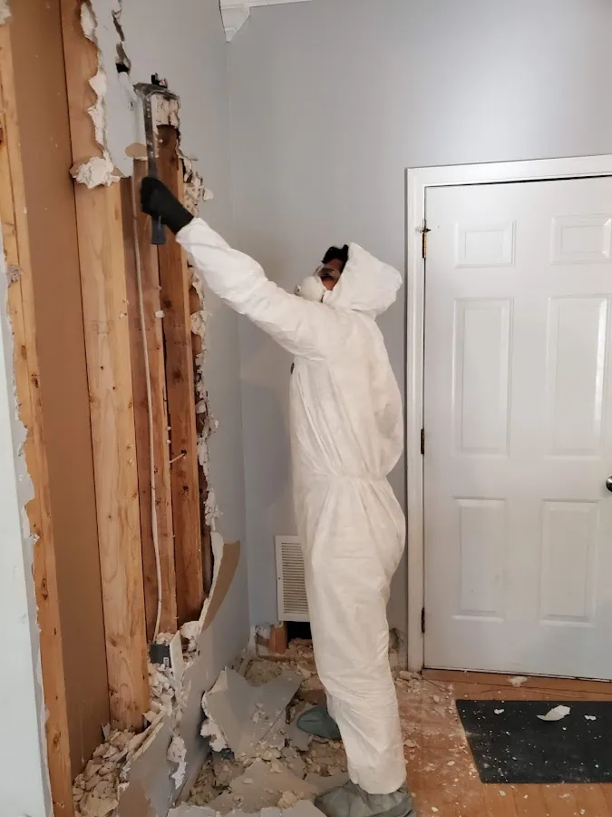 Water Damage Restoration services in Holland, NJ